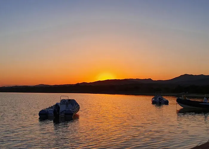 L'ortu Di Quaprice Figari (Corsica)