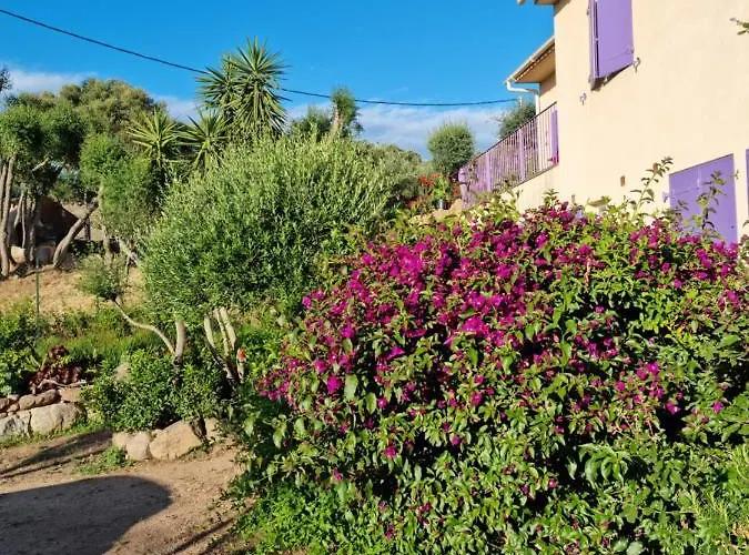 L'ortu Di Quaprice Figari (Corsica)