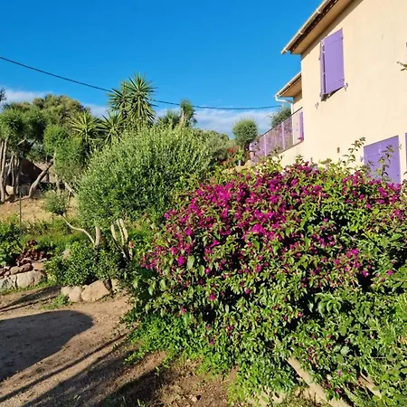 L'ortu Di Quaprice Figari (Corsica)