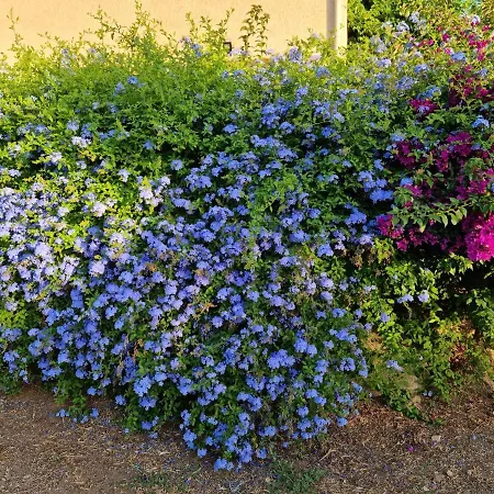 L'ortu Di Quaprice Vakantiehuis *